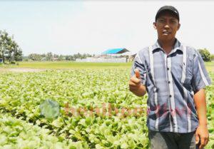 Sudarman1