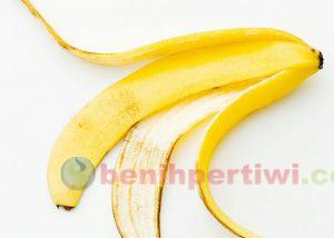 kulit-pisang-800x416