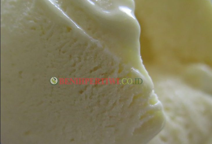 Membuat Ice Cream Jagung Manis