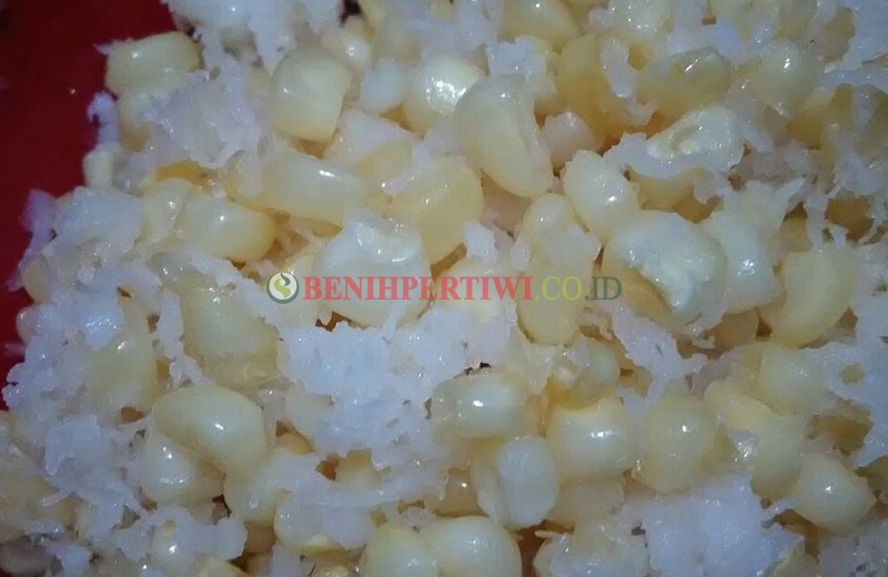 Menu Sederhana Jagung Pulut Kelapa