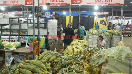 Jagung manis Paragon di Pasar malam MMTC MEDAN