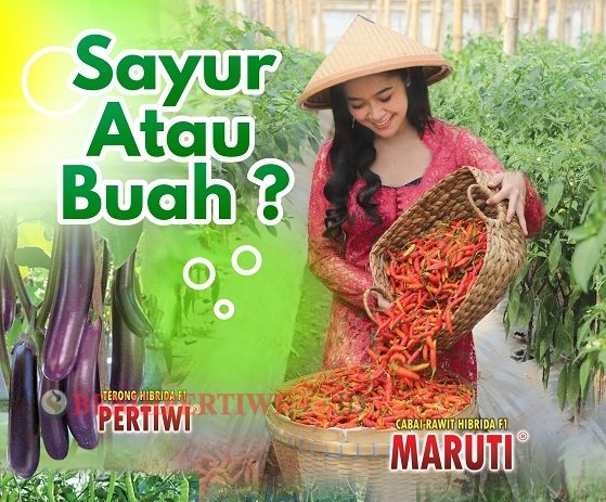 Perbedaan Sayur dan Buah