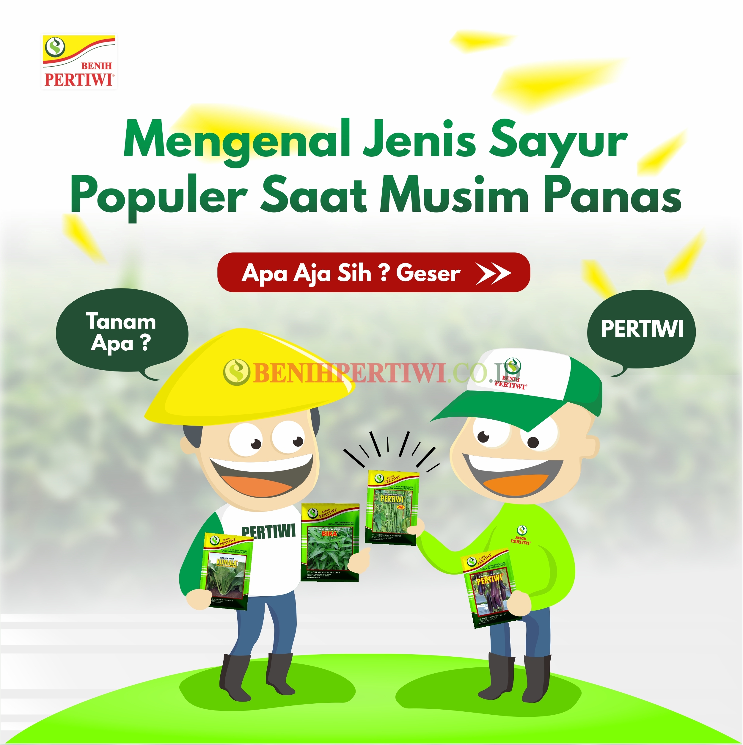 Mengenal Jenis Sayur Populer Saat Musim Panas