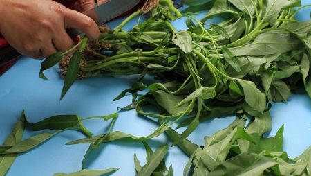 Tips Memasak Kangkung agar Tetap Hijau dan Crunchy