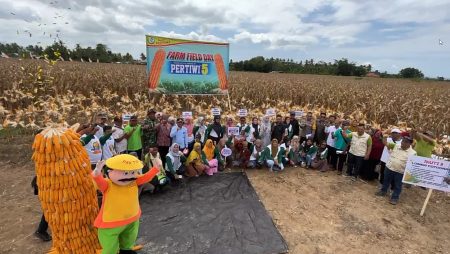 Panen Raya Jagung Pertiwi 5 di Boalemo, Gorontalo, Hasilnya Memuaskan !