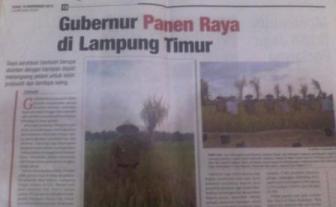 Gubernur Panen Raya di Lampung Timur